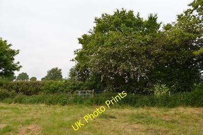 Photo 12x8 Field edge near Scot Hay Footpath Audley 75 exits this field by c2015