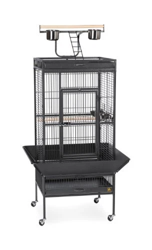 Prevue 2025 hendryx cage