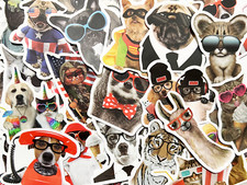 50 Animal Sticker Pack Throwback Dog and Cat Memes Laptop Water Bottle Phone