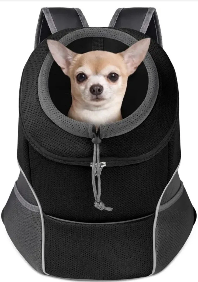 Are Front Dog Carriers Safe