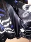 Bild 9 von 10