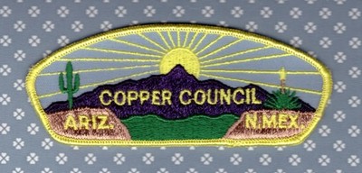 CSP - Copper Council    T1   -Mint- Real   First CSP  No Twill