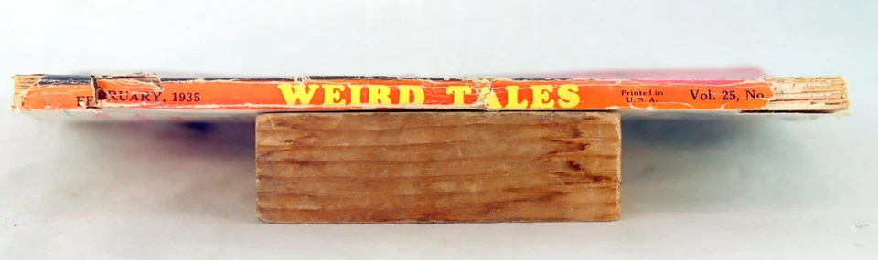 Weird Tales February 1935 Volume 25 No 2 Margaret Brundage Robert E Howard PB - Image 3 of 4