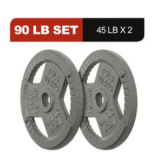2-Inch Cast Iron Weight Plates   Olympic Barbell Plates for Strength and Resista