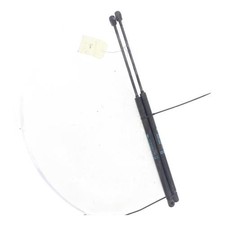 Verin de hayon / de capot Peugeot 1007