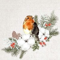 20 Servietten Robin Forest Rotkehlchen VöGel Tiere Blumen Winterzweig 33X33Cm