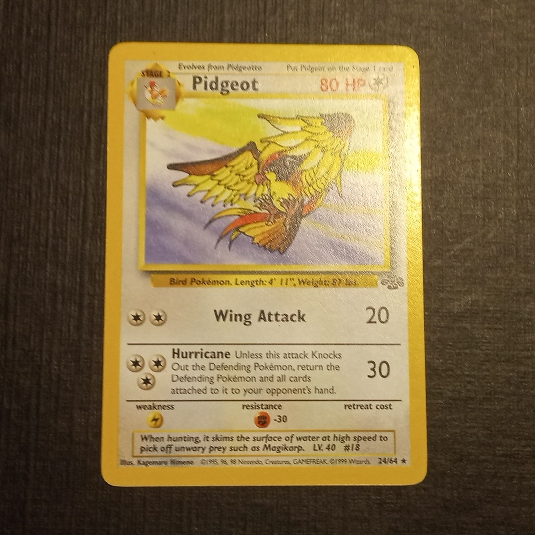 PIDGEOT 24/64 - Jungle - Non Holo - Rare - VINTAGE WOTC Pokémon CARD - NM