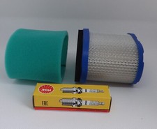 Tune up Kit Air Filter Spark Plug Briggs & Stratton - INTEK MTD Lawnflite Mower