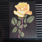 Bild 12 von 22