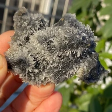 370g Natural and beautiful white chrysanthemum quartz crystal cluster healing