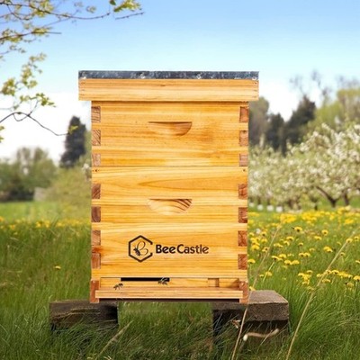 10-Frames Complete Beehive Kit, 100% Beeswax Coated Bee Hive Includes Beehive...