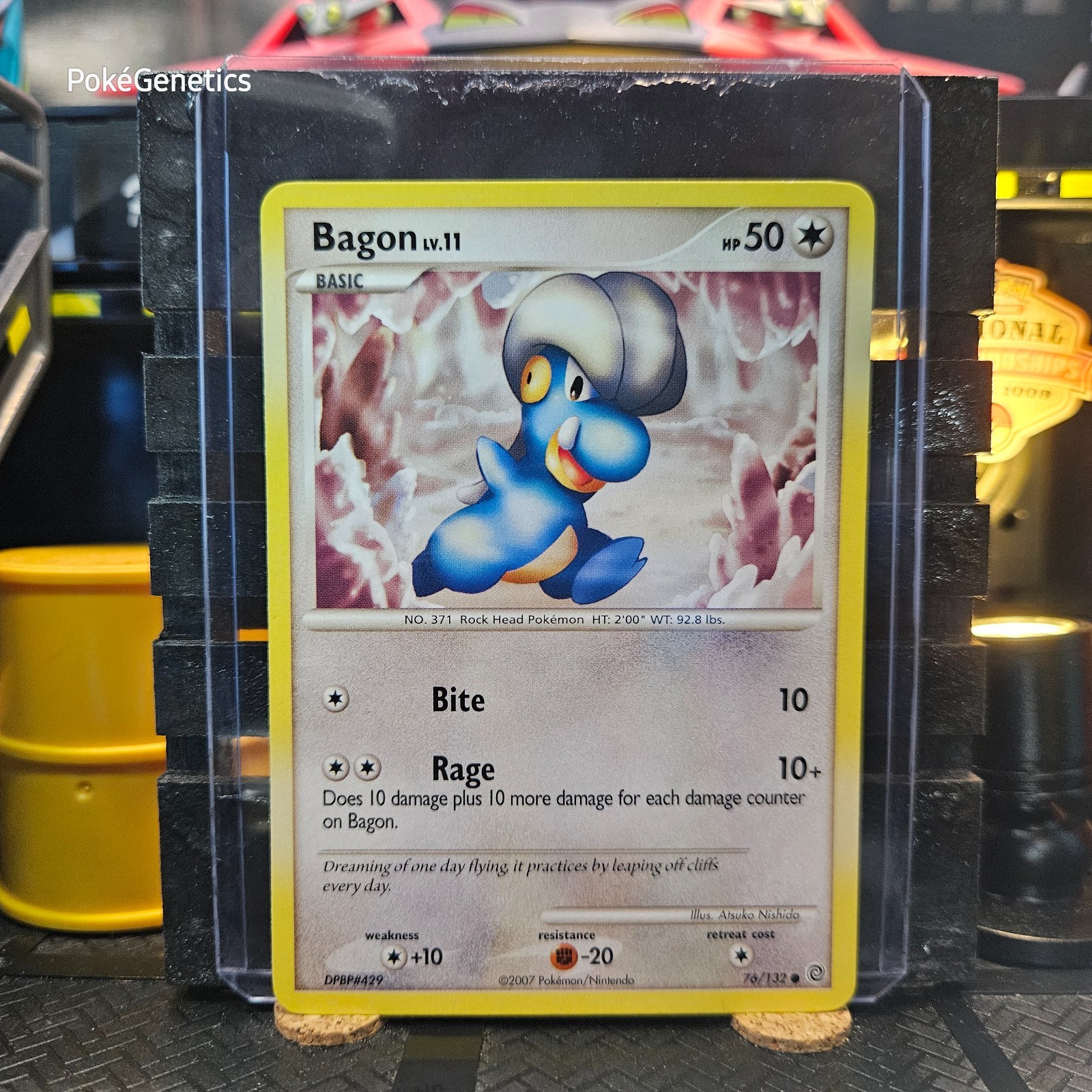 Bagon Secret Wonders Pokémon TCG 76/132 Diamond & Pearl Common