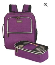 Biaggi Carry Cube Backpack Purple