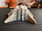 Foto 10 di 12