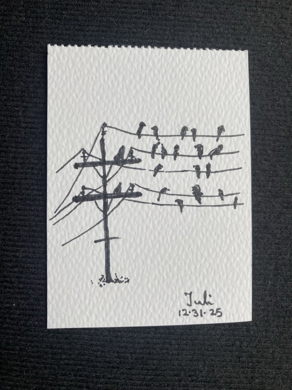 ACEO Original Art, Tiny Art, ATC Card Ink Sketch Signed Crows On Electric Wire