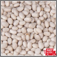 20 lb. Bulk Restaurant Diner Hotel Kitchen Supply Assorted Dried Navy Beans