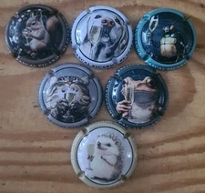 Pascal Picard Champagne Capsule.  TS