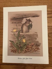 Spring Mill State Park Indiana Wm  Zimmerman Print 1985 Wood Rat & Lady Slipper