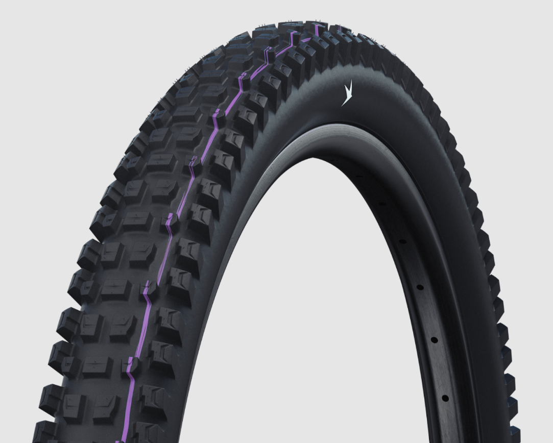 Schwalbe Pneumatico Pieghevole Albert Gravity Pro Radiale 29x2.60 Evolution Addi