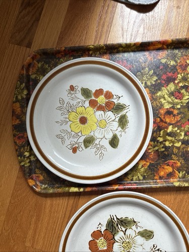 Groovy, Retro, Vintage Stoneware Plate And Coordinating Tray Lot , One Chip