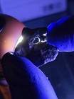 Agoudal Iron Meteorite 3.274g Individual Natural Hole Rare IIAB Iron COA — photo 10