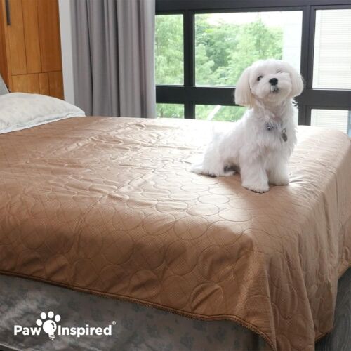 Paw Inspired Washable Dog Pads, Reusable Puppy Pee Wee Training Pads 72x72 1Pack - Picture 5 of 6