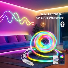 5V USB Neon LED Strip Lights RGB Flexible Waterproof WS2812B with Remote 3M