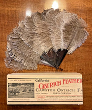 Cawston Ostrich Farm Folding Feather Fan in Box South Pasadena California