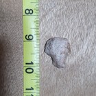 WELL USED AUTHENTIC TENNESSEE STEMMED KNIFE NICE ARTIFACT STONE ARROWHEAD TOOL — photo 1
