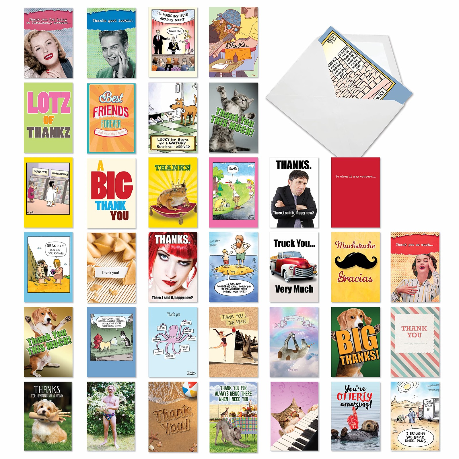 - 36 Assorted Bulk Box Set Funny Greeting Cards with Envelopes (36 Designs, 1...