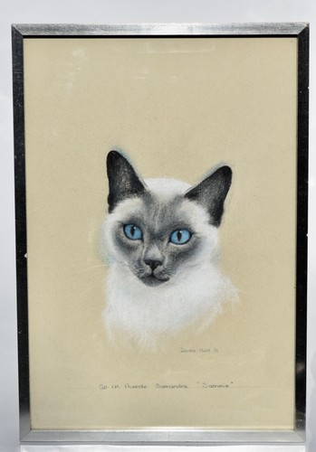 Signed Deidre Hunt Pastel on Paper of A Siamese Cat 'Sammie' Australian Artist - Picture 8 of 8