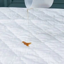 2023 Quilted cotton waterproof bed pad, solid breathable mattress cover