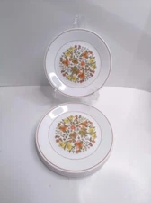 Vintage Corelle by Corning Indian Summer 8.5" Plate / Brown trim/ Flowers Set 6
