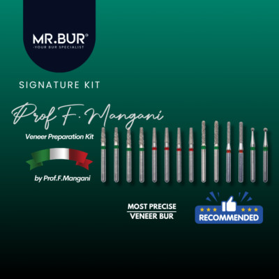 All Preparation Kit for Inlays and Veneers 14pcs KIT | MR.BUR