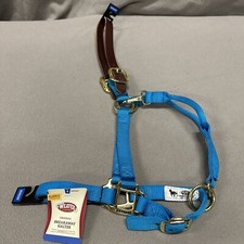 1" Nylon Adjustable Leather Crown Halter Horse Teal Brass Average 35-6025-HB