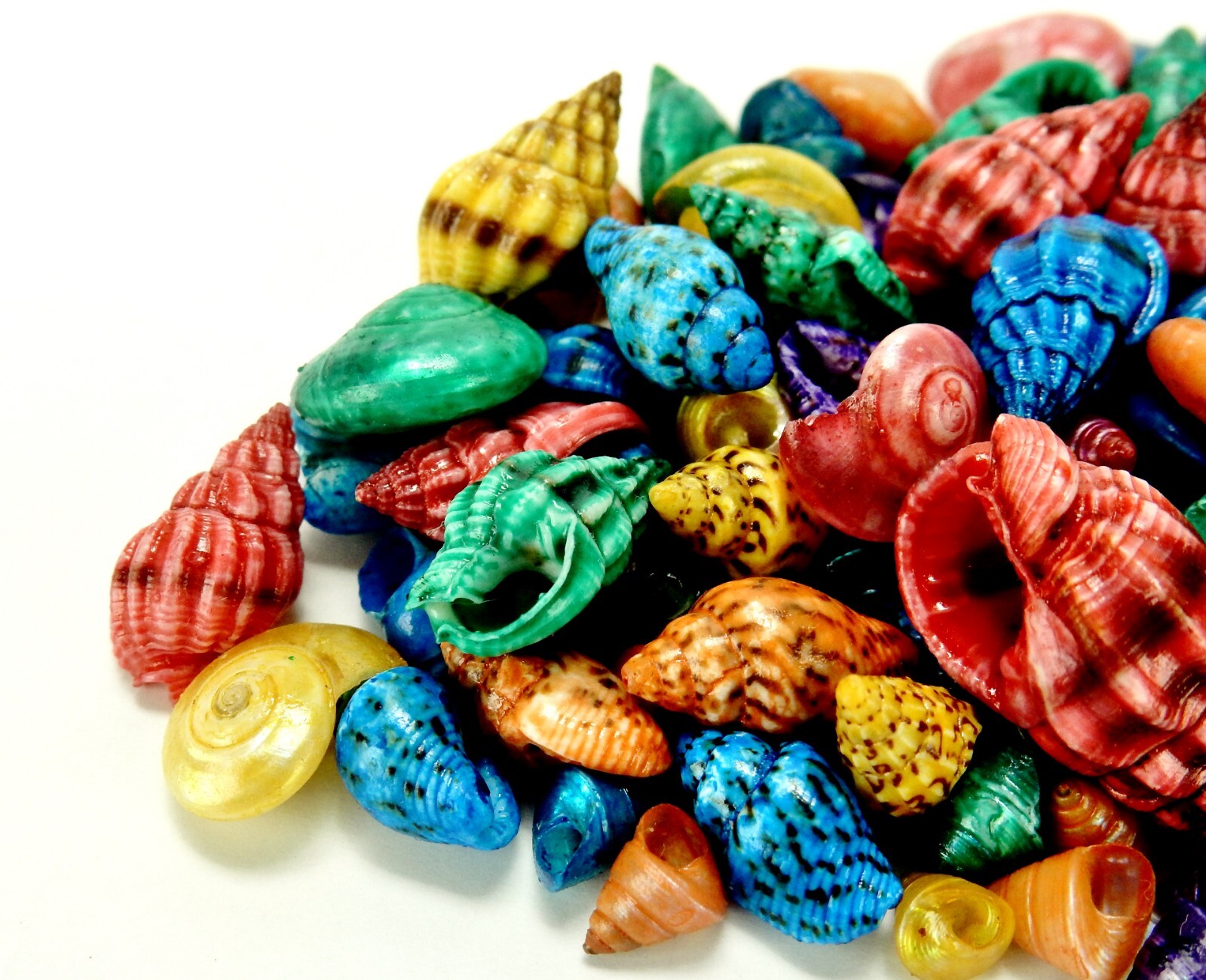 Large Plastic Shell Miniature Plastic Sea Shells, Hermit Crab & Snail, Crafts, Aquariums ...