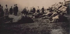Ringling Bros RBBB Clarks Crossing NY train wreck Horses 1889 - c1900 Photo