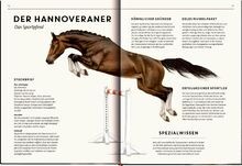 Lebensgroß: Pferde aus aller Welt: 12 beeindruckend... | Buch | Zustand sehr gut