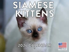 Siamese Kitten Calendar 2026 Cat Monthly Wall Calender 12 Month | American Made