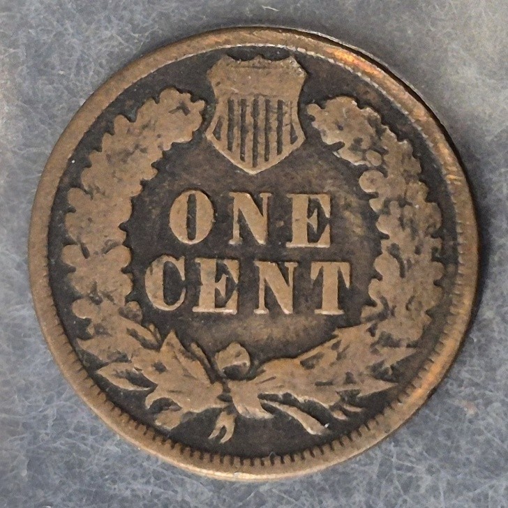 1895 Indian Head cent reverse, angled view