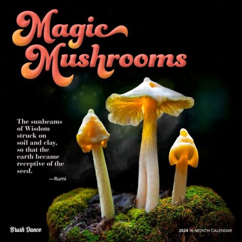Magic Mushrooms | 2024 12x24" Monthly Square Wall Calendar - Picture 1 of 8