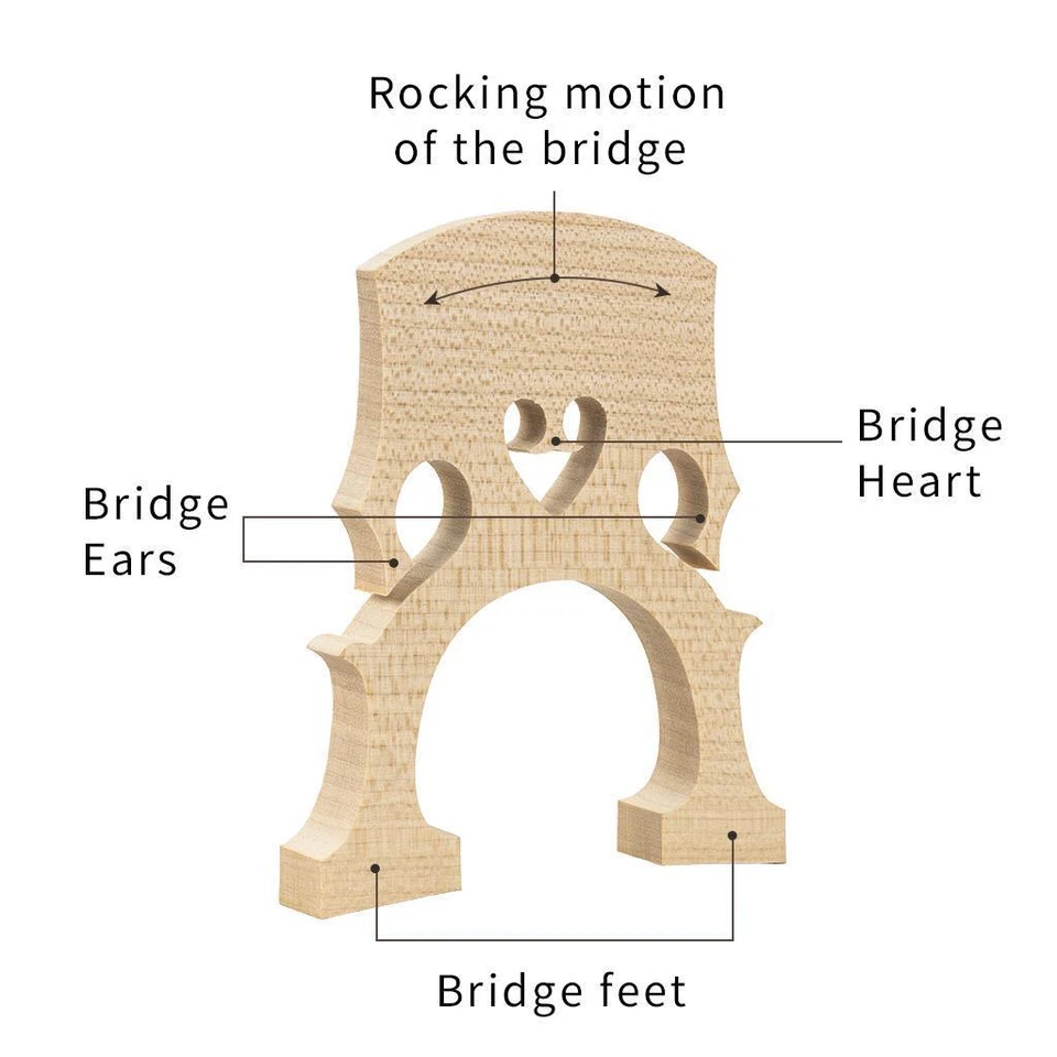 Accessorio Per Parti Di Strumenti  Ponte Per Violoncello In Legno Di - Immagine 4 di 4