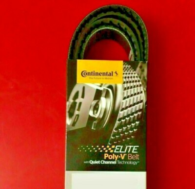 Serpentine Belt-Engine Goodyear/Continental Elite 4081223F Without Block Heater