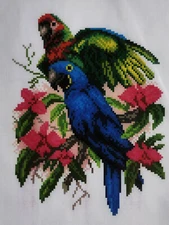 Cross stitch painted AIDA canvas tapestry PA1009 Parrots 11"x15" 