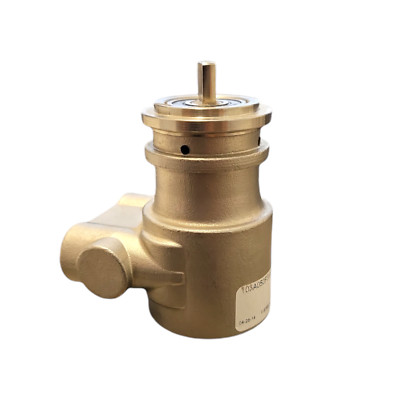 Procon 103A050F31XX Stainless Steel Rotary Vane Water Pump, 50 GPH, no pressure