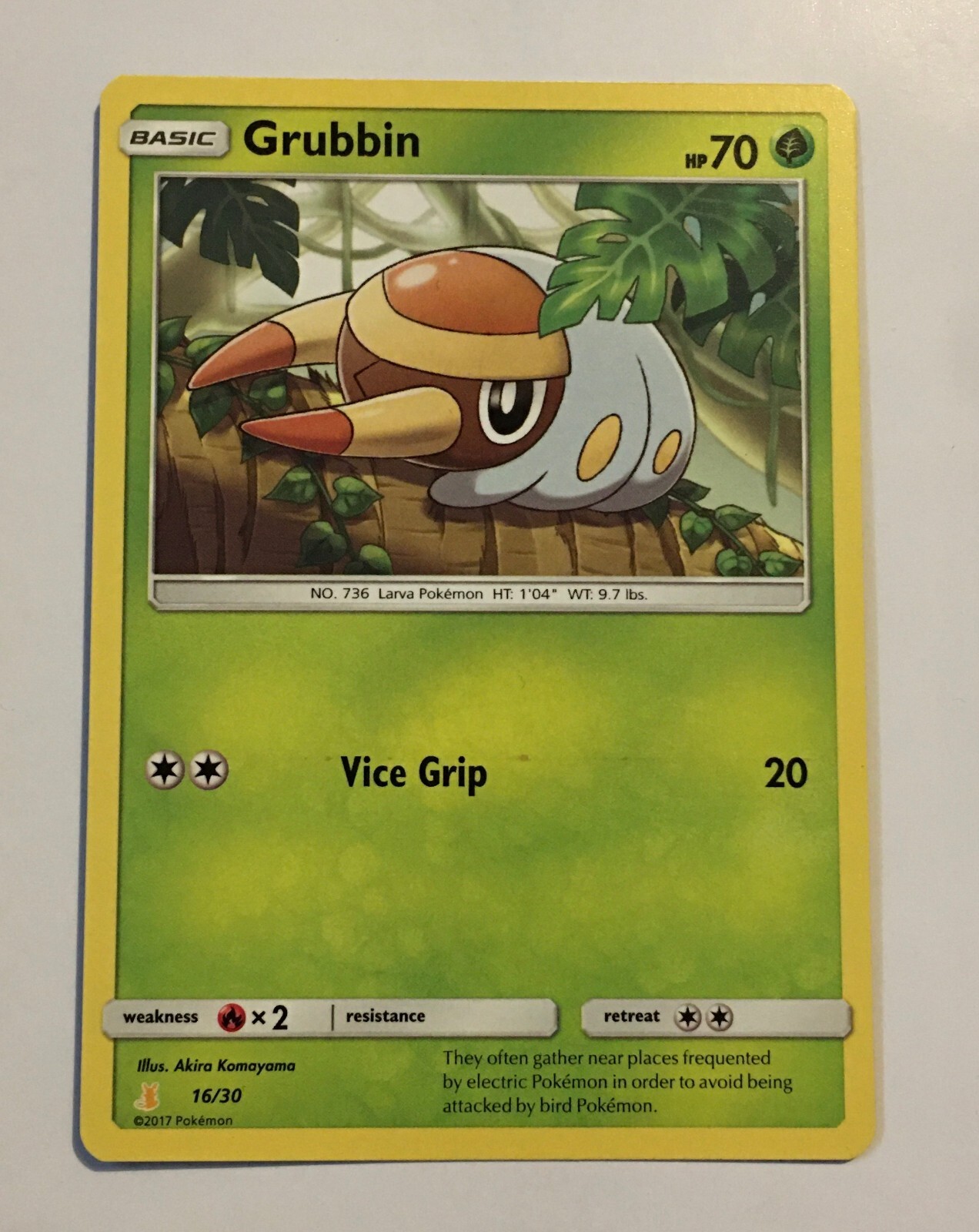 grubbin sun & moon Pokémon card basic HP 70 2017 original free shipping!