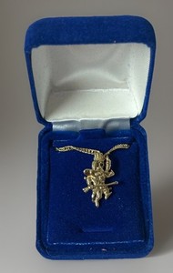 Authentic UNLV Rebels University of Las Vegas Necklace Chain Gold-plated .925 Gold Vermeil
