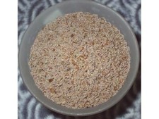 Flohsamen indisch 5kg    Plantago ovata, indische Flohsamen