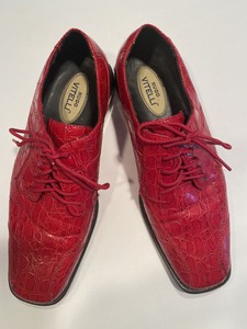 hugo vitelli alligator