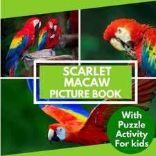 Scarlet macaw Picture Book with Puzzle Activity for Kids: Learn Facts about the